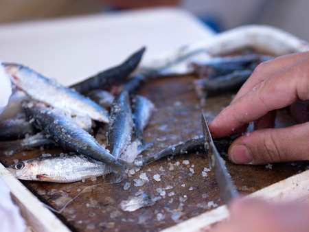 Fisherman slicing sardines for longline fishing equipmentの写真素材