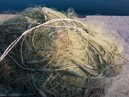 Fishing net close to the calm blue seaの写真素材