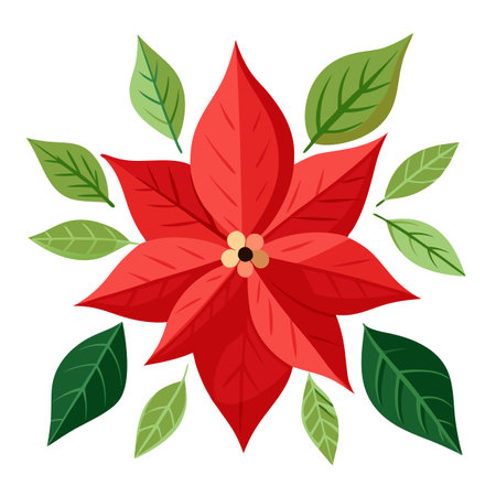 Set of watercolor christmas poinsettia and leaves. isolated on transparent background. AI generated. Vector iconのイラスト素材