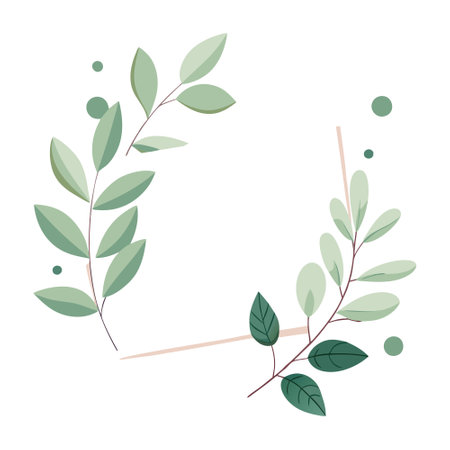 Flat lay of eucalyptus leaves arranged in a decorative frame design on white backgroundのイラスト素材