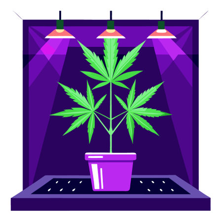 A young cannabis plant is flourishing indoors under purple LED lights. cared for in a controlled environment to ensure healthy growth with vibrant green leaves. AI generated. Vector iconのイラスト素材
