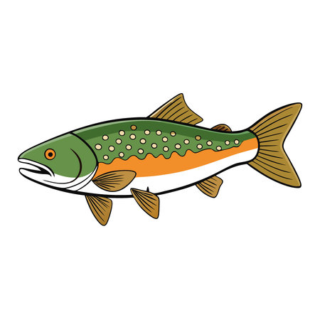 Brook Trout displays its striking coloration and intricate patterns emphasizing the unique features of the species in a clean environment.. AI generated. Vector iconのイラスト素材