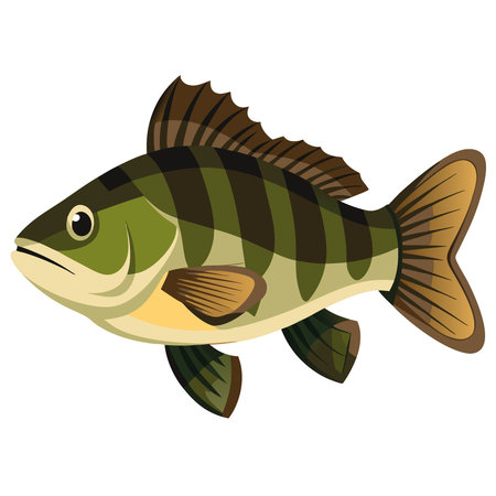 Smallmouth Bass Micropterus dolomieu is showcased with remarkable detail highlighting its distinctive markings and healthy appearance against a clean white backdrop.. AI generated. Vector iconのイラスト素材