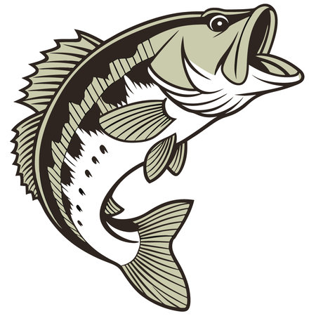 A Largemouth Bass. 3/4 side view PNG. in a Fishing-themed. isolated. and transparent photorealistic illustration. . AI generated. Vector iconのイラスト素材