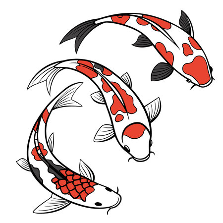Artistic koi fish swimming line illustration isolated on solid white background. 32k. full ultra HD. high resolution. AI generated. Vector iconのイラスト素材