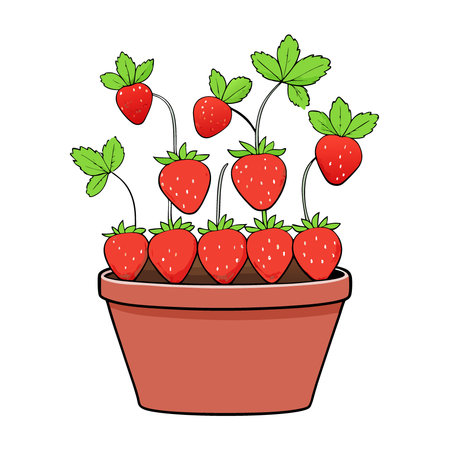 Strawberry plants with numerous ripe red strawberries in a planter gardening theme.. AI generated. Vector iconのイラスト素材
