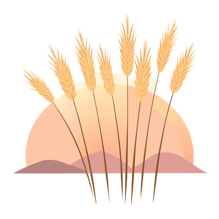 Soft pampas grass glows in warm tones as the evening light casts a tranquil atmosphere. AI generated. Vector iconのイラスト素材