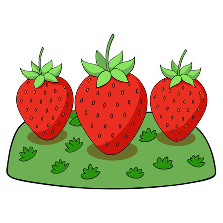 Harvesting Juicy Red Strawberries Close Up View Fresh Berries Growing in the Field. AI generated. Vector iconのイラスト素材
