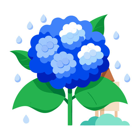 Japan Blue Hydrangea Flower in Rainy Season June Summer Garden Nature Light. AI generated. Vector iconのイラスト素材
