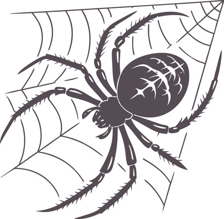 Black spider isolated on transparent background cutout. AI generated. Vector iconのイラスト素材