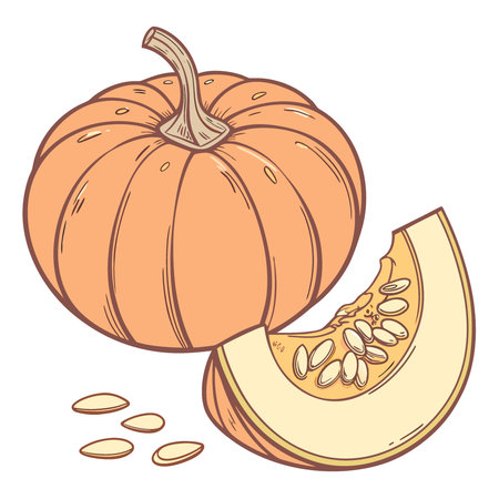 Photo of a single pumpkin top view on the white background. AI generated. Vector iconのイラスト素材