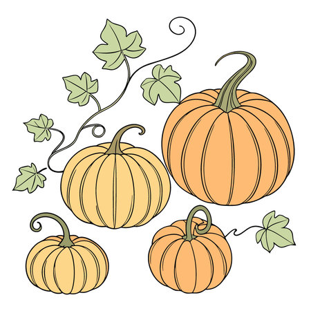 Six pumpkins of varying sizes. isolated on white background.. AI generated. Vector iconのイラスト素材