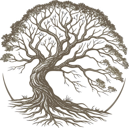 Circle of tree roots isolated on transparent background cutout .. AI generated. Vector iconのイラスト素材