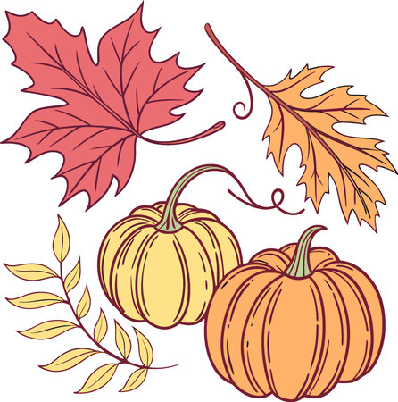 Set of autumn leaves and pumpkins isolated on transparent background. ..AI generated. Vector iconのイラスト素材