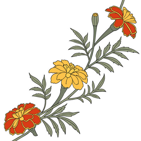 Marigold flower garland displayed against isolated on white background. ON WHITE BACKGROUND. AI generated. Vector iconのイラスト素材