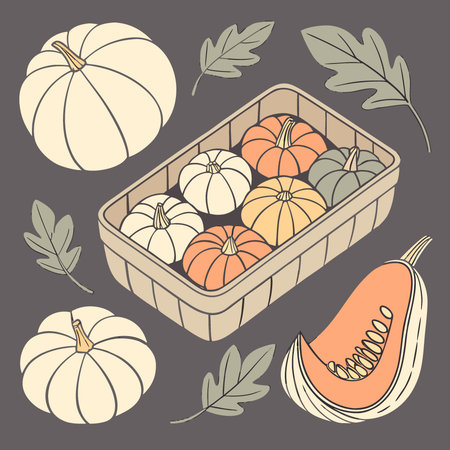 Overhead View of a Variety of Pumpkins and Gourds Arranged in Horizontal Knolling - On Dark or. AI generated. Vector iconのイラスト素材