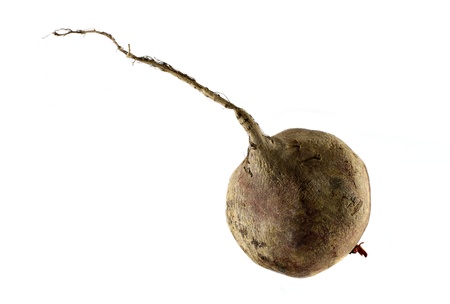 beetroot isolated on whiteの写真素材