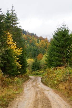 Road through the autumnal forestの写真素材