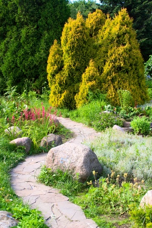 Alpine gardenの写真素材