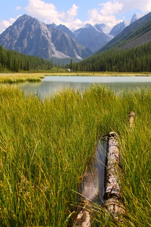 Summer view of mountains and lake in Altay, Russiaの写真素材