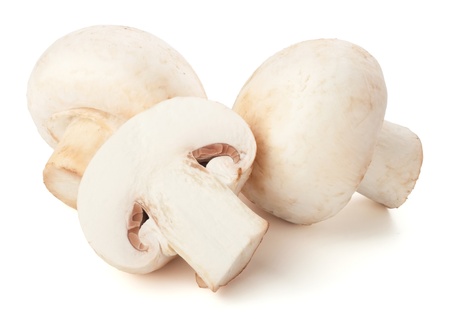 Champignon mushrooms on white backroundの写真素材