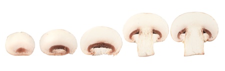 Champignon mushrooms on white backroundの写真素材