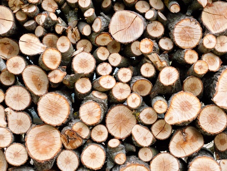 Background of dry chopped firewood logs stacked up in a pile
