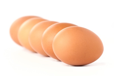 Line of brown eggs on white backgroundの写真素材