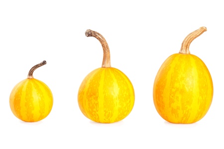 Three small decorative pumpkins on white backgroundの写真素材