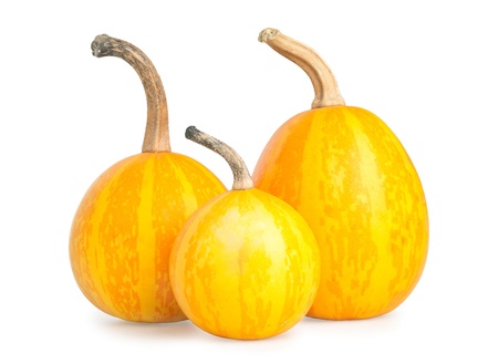 Three small decorative pumpkin on white backgroundの写真素材