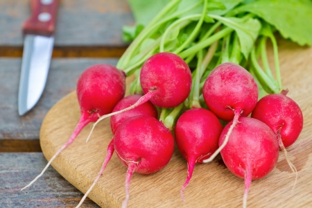 Fresh radishes on a wooden cutting boardの写真素材