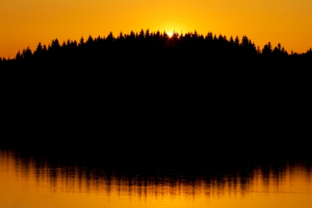 Red sunset and trees silhouette over the forest lakeの写真素材