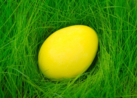 Yellow painted Easter egg in the grassの写真素材