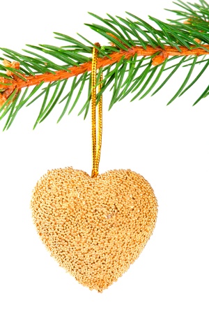 Christmas heart bauble on a pine branch isolated on whiteの写真素材