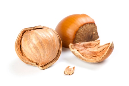Filbert nut isolated on white backgroundの写真素材