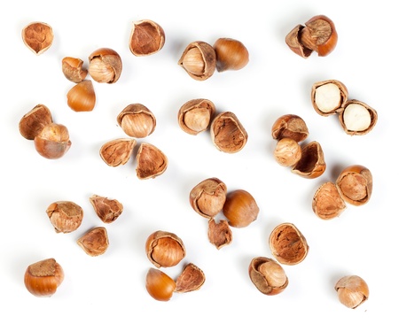 Filbert nut isolated on white backgroundの写真素材