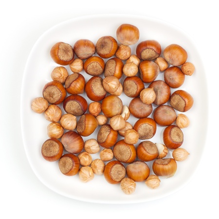 Filbert nut isolated on white backgroundの写真素材
