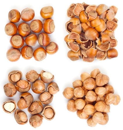 Filbert nut isolated on white backgroundの写真素材