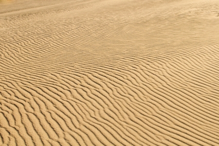 Desert sand background of a Curonian Spit duneの写真素材