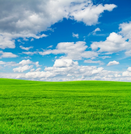 Green field and blue sky backgroundの写真素材