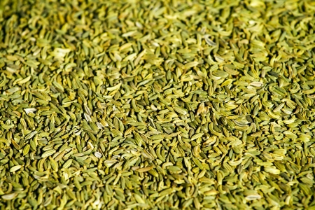 Close up background of fennel seeds  foeniculum vulgare の写真素材