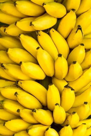 Bunch of ripe bananas backgroundの写真素材