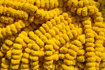 Marigold flowers garland backgroundの写真素材