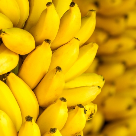 Bunch of ripe bananas backgroundの写真素材
