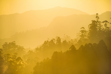 Morning sunshine over the misty forest and mountainsの写真素材