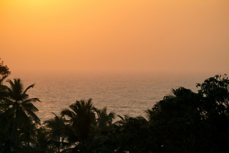 Beautiful sunset view at the ocean and palm treesの写真素材