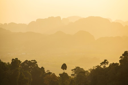 Morning sunshine over the misty forest and mountainsの写真素材