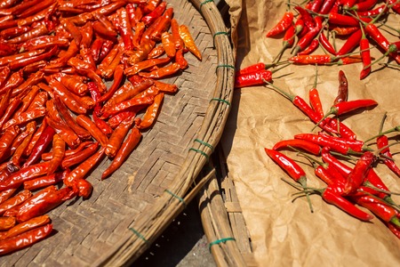 Red chilli pepper drying in the sunの写真素材