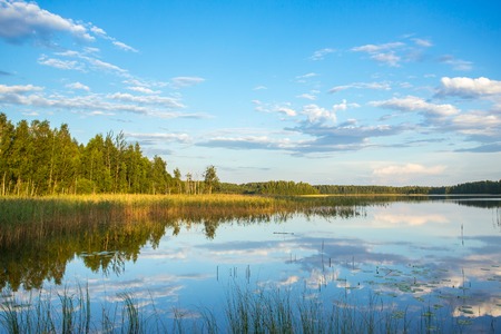 Lake in the forest, summer landscapeの写真素材