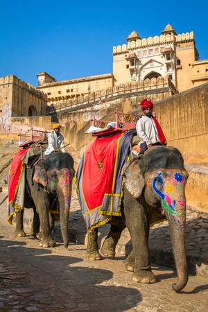 Elephant riders in the Amber Fort near Jaipur, Rajasthan, Indiaのeditorial素材